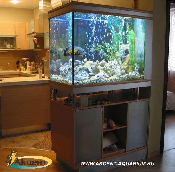Акцент-Аквариум, аквариум 400 литров просмотровый, вид со стороны комнаты